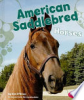 American_saddlebred_horses
