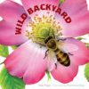 Wild_backyard