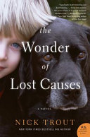 The_wonder_of_lost_causes