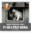 What should i do? if I see a stray animal