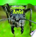 Incredible_ants