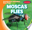 Moscas / Flies