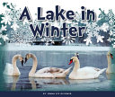 A_lake_in_winter