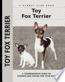 Toy Fox Terrier