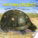 Old__older__oldest