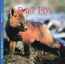 Baby_fox