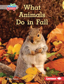 What_animals_do_in_fall