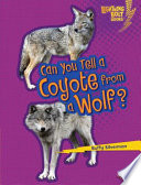 Can_you_tell_a_coyote_from_a_wolf_