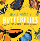 Secret_world_of_butterflies