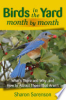 Birds_in_the_yard_month_by_month