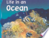 Life_in_an_ocean