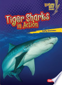 Tiger_sharks_in_action