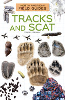 Tracks_and_scat
