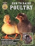 How_to_raise_poultry