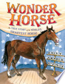 Wonder_horse